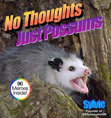 No Thoughts Just Possums -  Sylvie