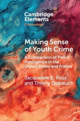 Making Sense of Youth Crime - Jacqueline E. Ross, Thierry Delpeuch