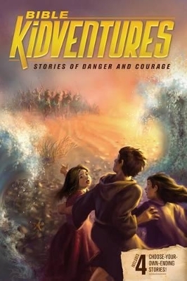 Bible Kidventures Stories of Danger and Courage - Sheila Seifert