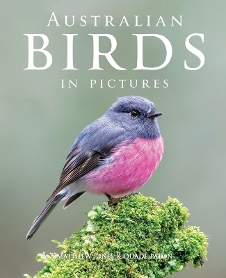 Australian Birds in Pictures - Matthew Jones, Duade Paton