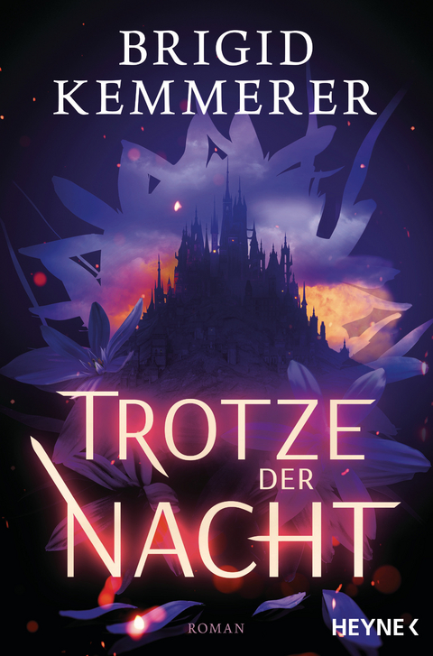 Trotze der Nacht - Brigid Kemmerer