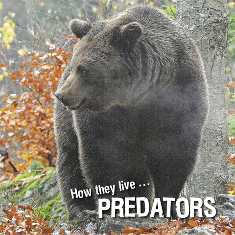 How they live... Predators - David Withrington, Ivan Esenko