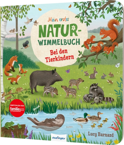 Mein erstes Natur-Wimmelbuch: Bei den Tierkindern - Sibylle Schumann