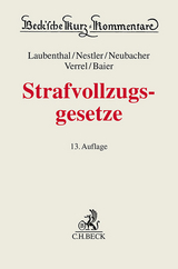 Strafvollzugsgesetze - Klaus Laubenthal, Nina Nestler, Frank Neubacher, Torsten Verrel, Helmut Baier, Mario Bachmann, Johannes Koranyi, Heinz Müller-Dietz, Rolf-Peter Calliess