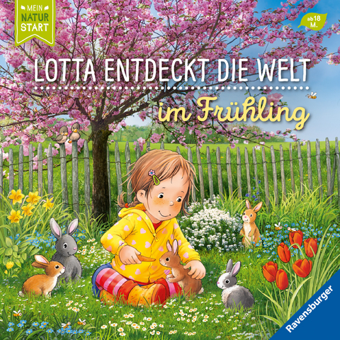 Lotta entdeckt die Welt - Sandra Grimm