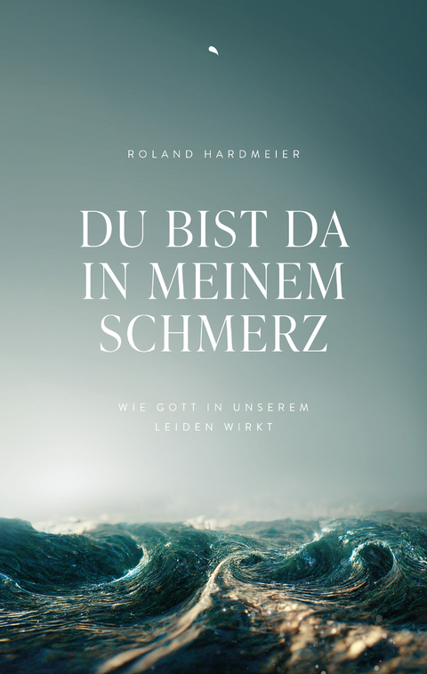 Du bist da in meinem Schmerz - Roland Hardmeier