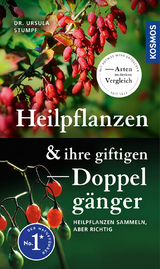 Heilpflanzen und ihre giftigen Doppelgänger - Ursula Stumpf