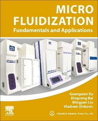 Micro Fluidization - Guangwen Xu, Dingrong Bai, Mingyan Liu, Vladimir Zivkovic