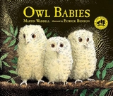 Owl Babies - Waddell, Martin