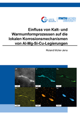 Einfluss von Kalt- und Warmumformprozessen auf die lokalen Korrosionsmechanismen von Al-Mg-Si-Cu-Legierungen - Roland Müller-Jena