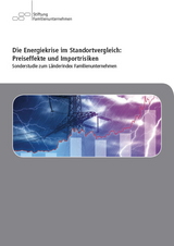 Die Energiekrise im Standortvergleich: Preiseffekte und Importrisiken