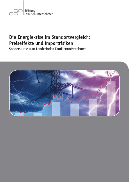 Die Energiekrise im Standortvergleich: Preiseffekte und Importrisiken