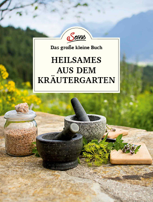 Das große kleine Buch: Heilsames aus dem Kräutergarten - 