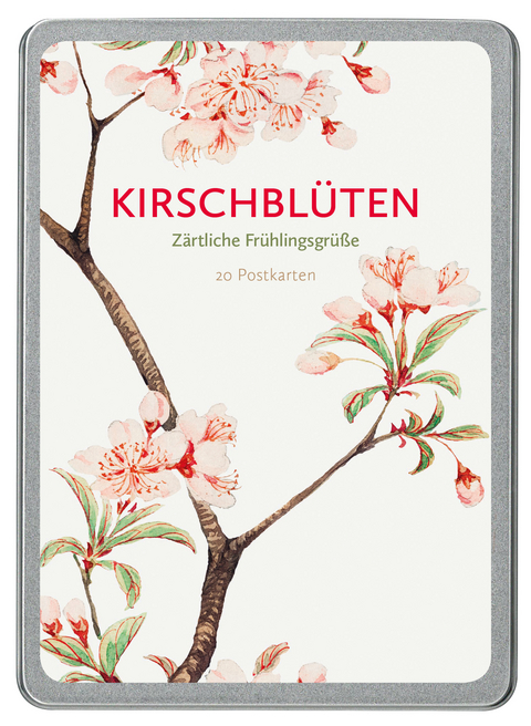 Kirschblüten