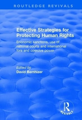 Effective Strategies for Protecting Human Rights - 