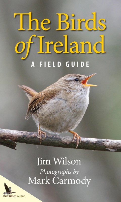 The Birds of Ireland - Jim Wilson, Mark Carmody