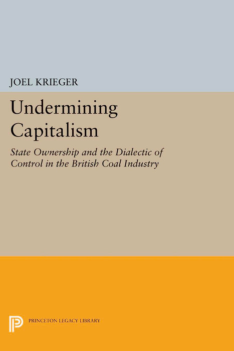 Undermining Capitalism -  Joel Krieger