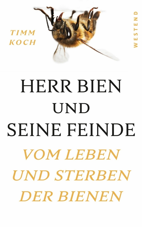 Herr Bien und seine Feinde - Timm Koch