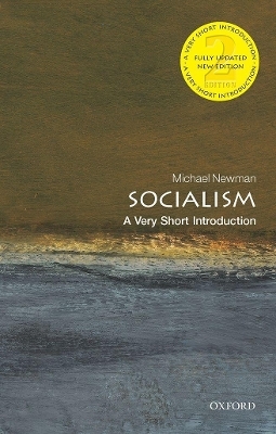 Socialism - Michael Newman