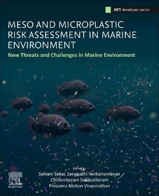 Meso and Microplastic Risk Assessment in Marine Environments - 