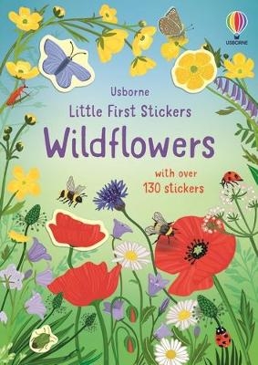 Little First Stickers Wildflowers - Caroline Young