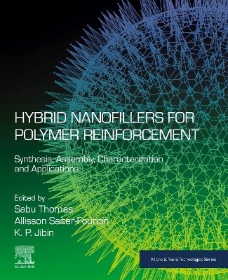 Hybrid Nanofillers for Polymer Reinforcement - 