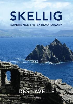 Skellig - Des Lavelle