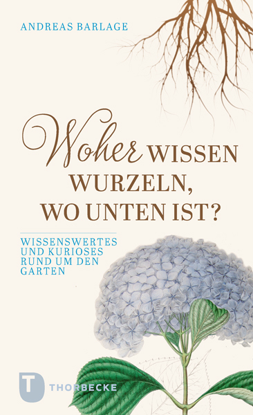 Woher wissen Wurzeln, wo unten ist? - Andreas Barlage