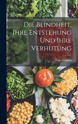 Die Blindheit, Ihre Entstehung Und Ihre Verhutung - Hugo Magnus