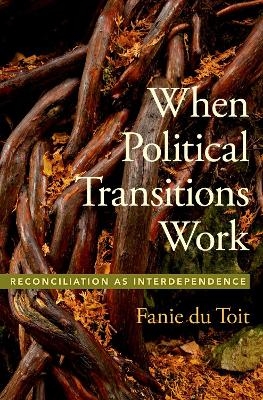 When Political Transitions Work - Fanie du Toit