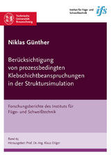 Berücksichtigung von prozessbedingten Klebschichtbeanspruchungen in der Struktursimulation - Niklas Günther