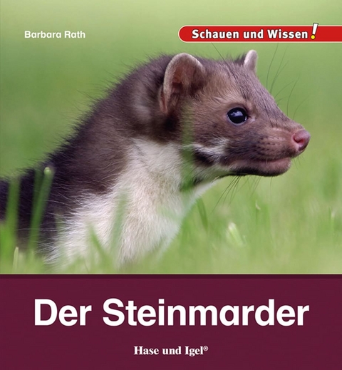 Der Steinmarder - Barbara Rath