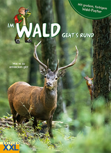 Im Wald geht's rund - mit großem, farbigem Poster