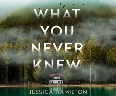 What You Never Knew - Jessica Hamilton