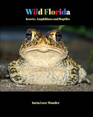 Wild Florida - Ineta Love Wonder