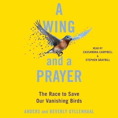 A Wing and a Prayer - Beverly Gyllenhaal, Anders Gyllenhaal