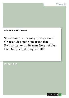 Sozialraumorientierung. Chancen und Grenzen des mehrdimensionalen Fachkonzeptes in Bezugnahme auf das Handlungsfeld der Jugendhilfe - Anna Katharina Fuxen