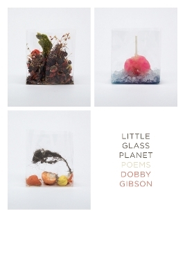 Little Glass Planet - Dobby Gibson