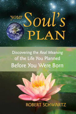 Your Soul's Plan eChapters - Chapter 2: Physical Illness -  Robert Schwartz