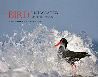 Bird Photographer of the Year -  Bird Photographer of the Year