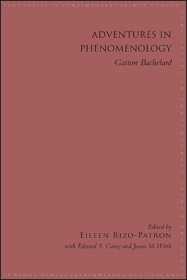 Adventures in Phenomenology - 