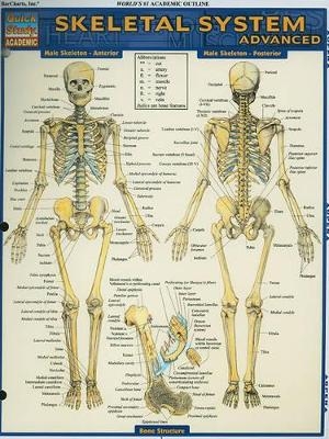 Skeletal System: Advanced - Vincent Perez