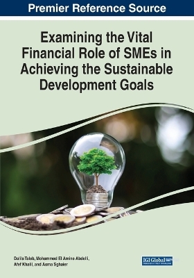 Examining the Vital Financial Role of SMEs in Achieving the Sustainable Development Goals - 