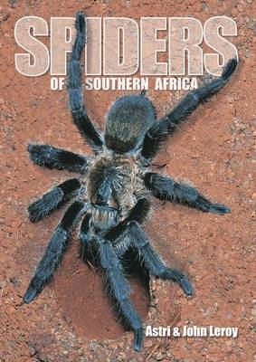 Spiders of Southern Africa -  Astri Leroy