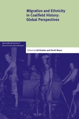 Migration and Ethnicity in Coalfield History - 