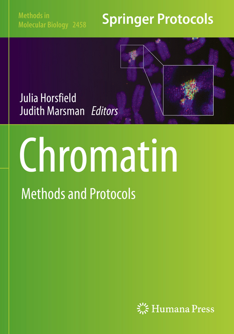 Chromatin - 