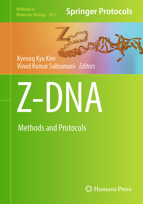 Z-DNA - 