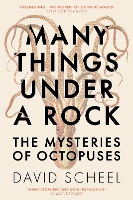 Many Things Under a Rock - David Scheel