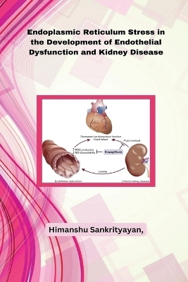 Endoplasmic Reticulum Stress in the Development of Endothelial Dysfunction and Kidney Disease - Himanshu Sankrityayan