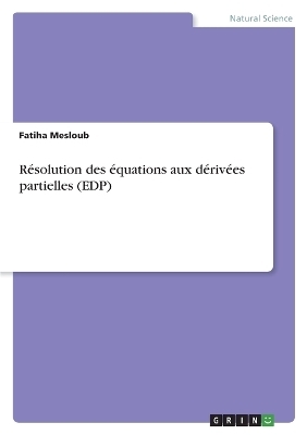 RÃ©solution des Ã©quations aux dÃ©rivÃ©es partielles (EDP) - Fatiha Mesloub